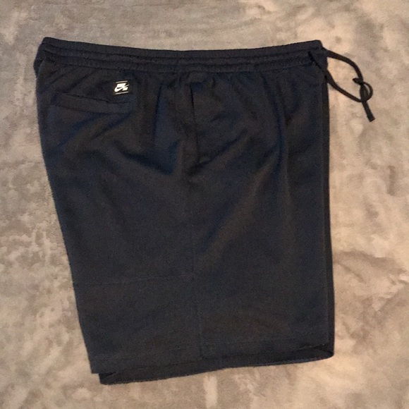 Nike SB Dri Fit Shorts - Picture 3 of 10